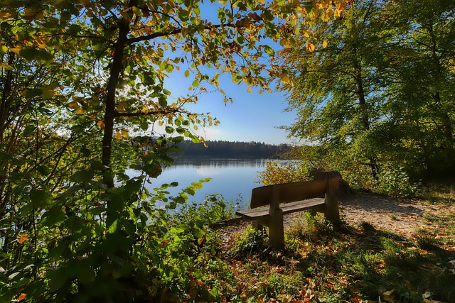 一时难以调 一时难以调