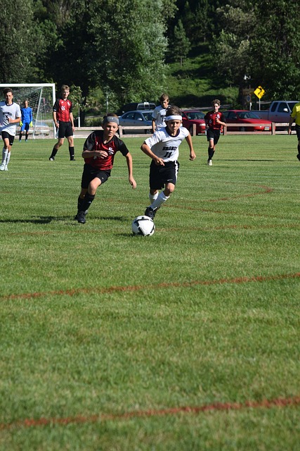 运动员的自 运动员的自