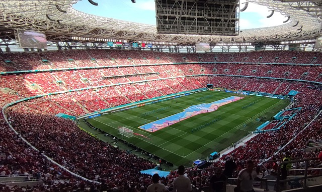 萊昂納多正 萊昂納多正