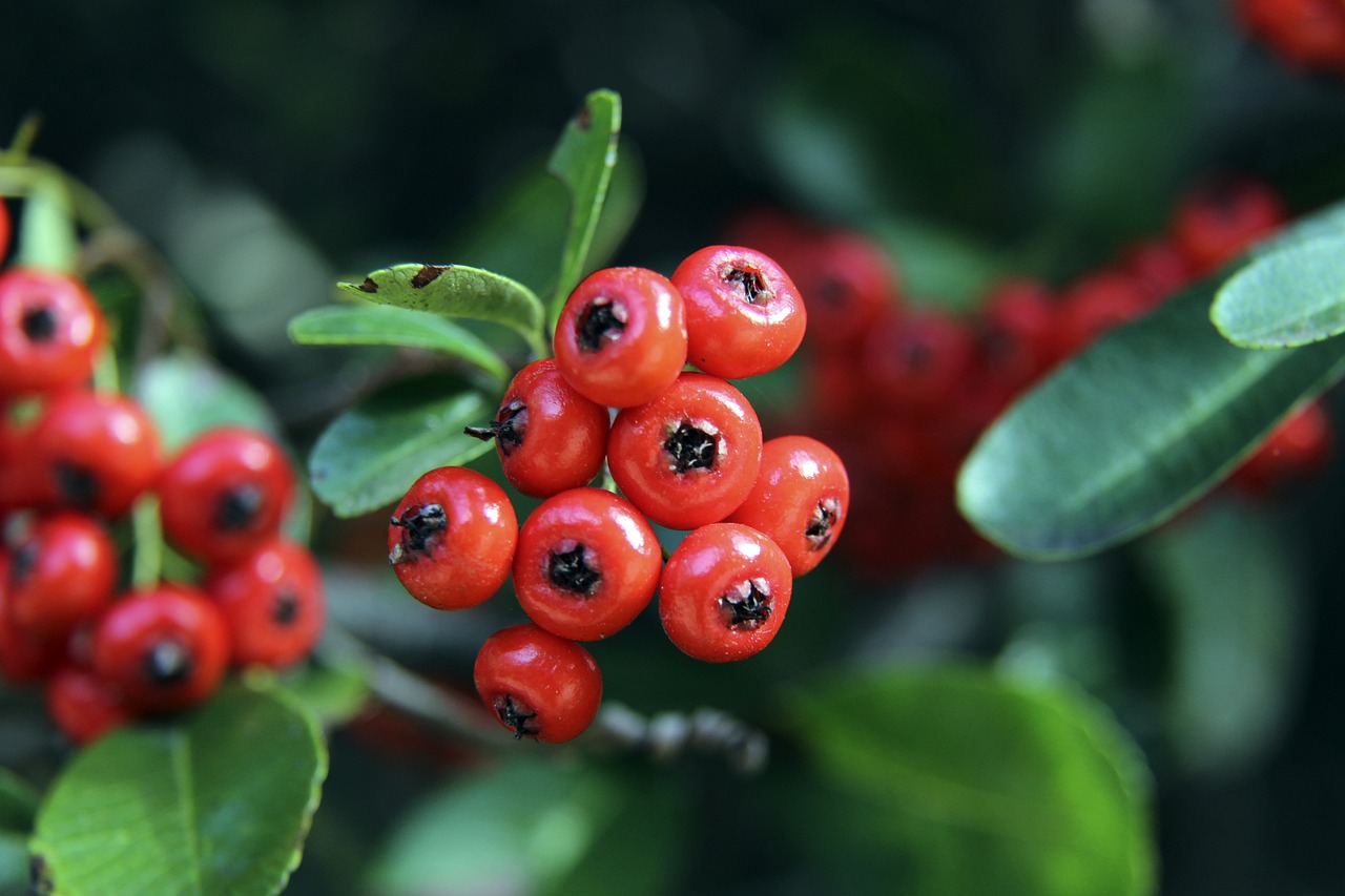 体育发展的 体育发展的